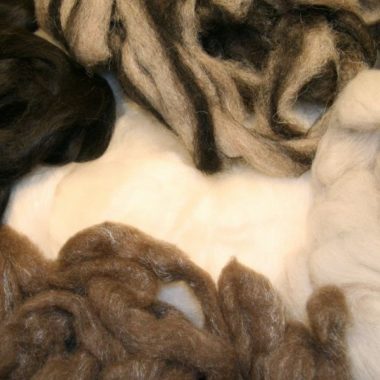Blends @ The Fibre Garden