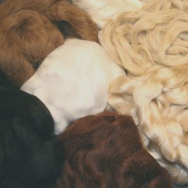 Exotic Fibres @ The Fibre Garden