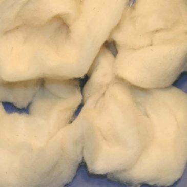 Corriedale – White (Rustic Roving)