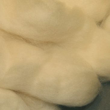 BFL – White (Top)