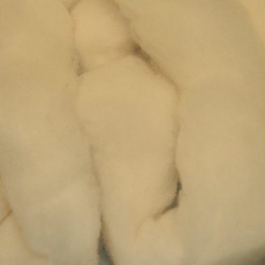 Canadian Rustic Roving @ The Fibre Garden